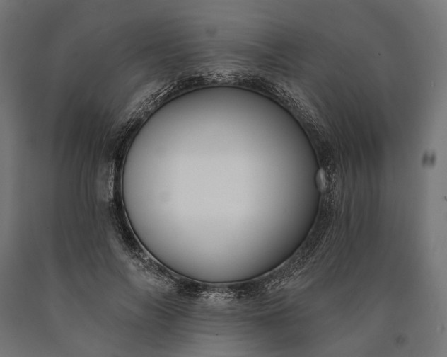 X0000090730694200708031524