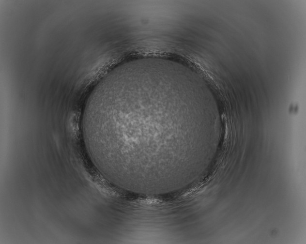 X0000090730695200708031524