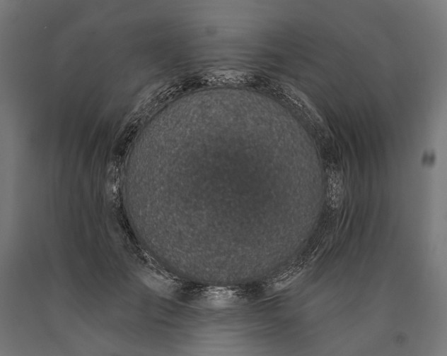 X0000090730701200708031523