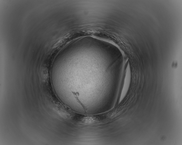 X0000090730704200708031523