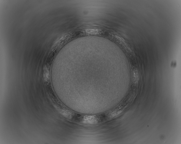 X0000090730705200708031523