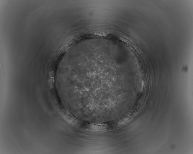 X0000090730707200708031523