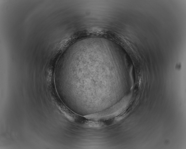 X0000090730708200708031523