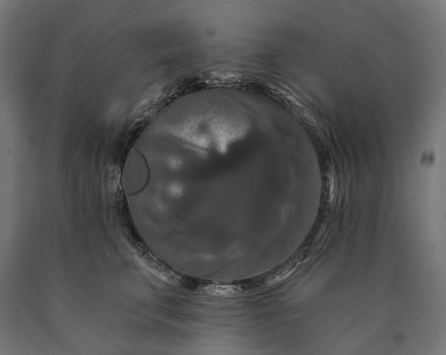 X0000090730711200708031523