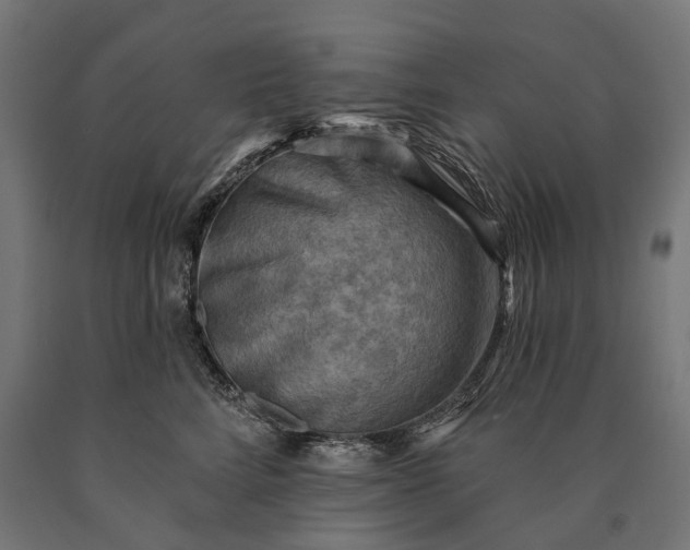 X0000090730712200708031523