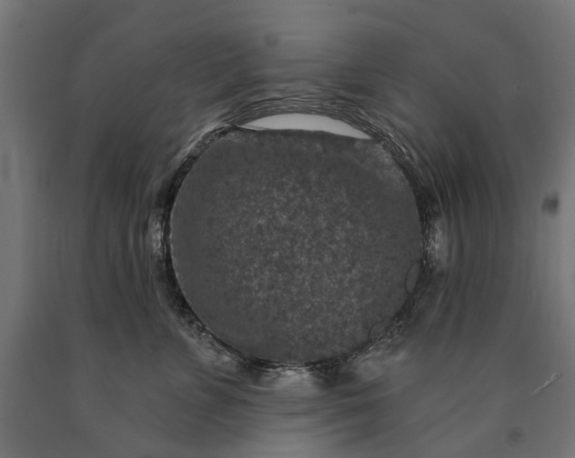 X0000090730715200708031523