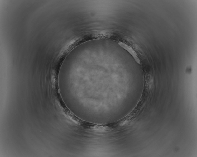 X0000090730716200708031523