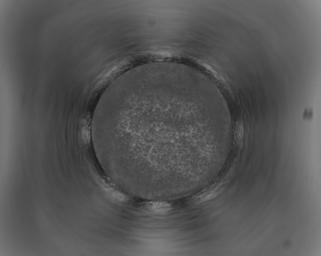 X0000090730719200708031523