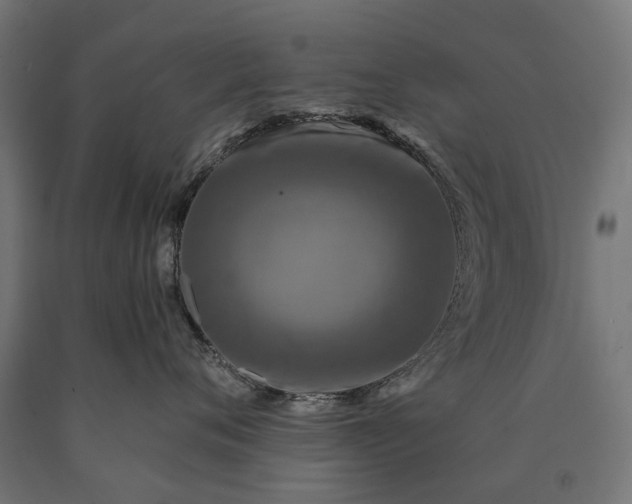 X0000090730720200708031523