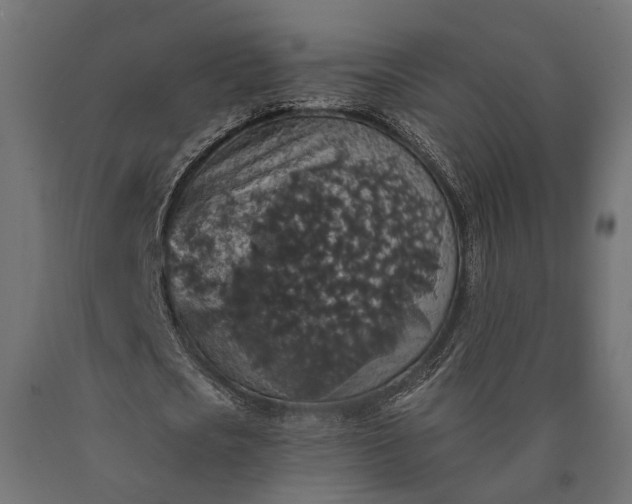 X0000090730721200708031522