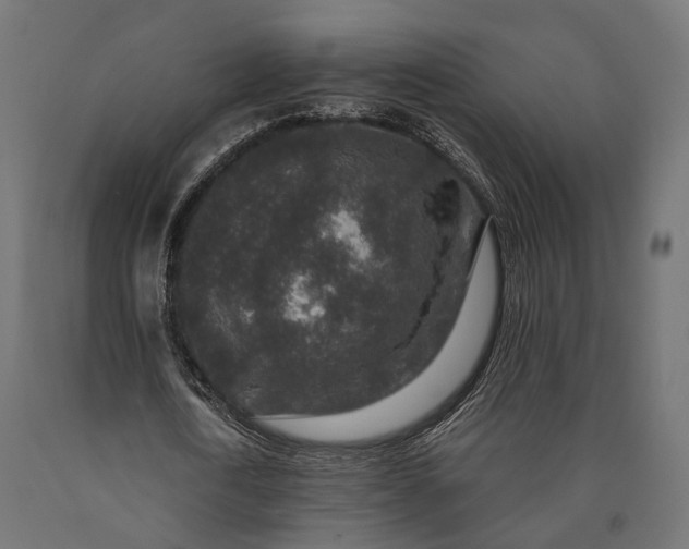 X0000090730722200708031523