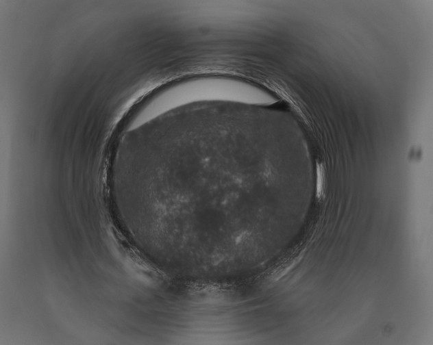 X0000090730723200708031523