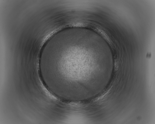 X0000090730725200708031523