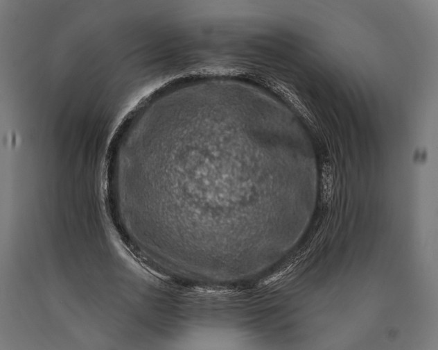 X0000090730726200708031523