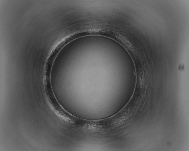 X0000090730728200708031523