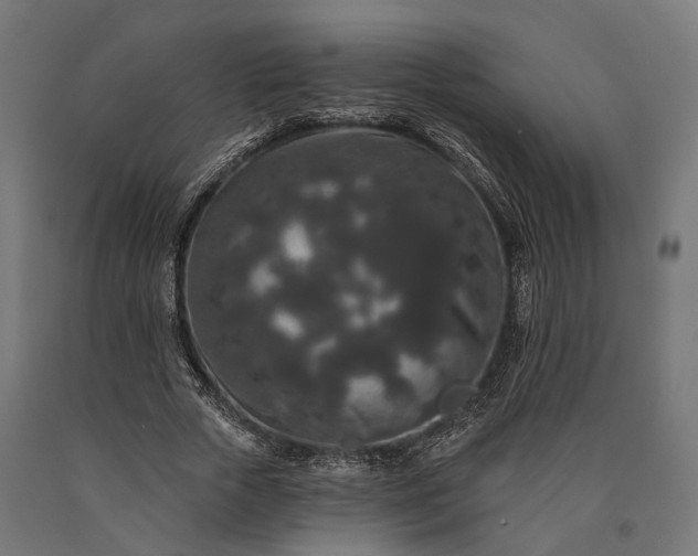 X0000090730729200708031523