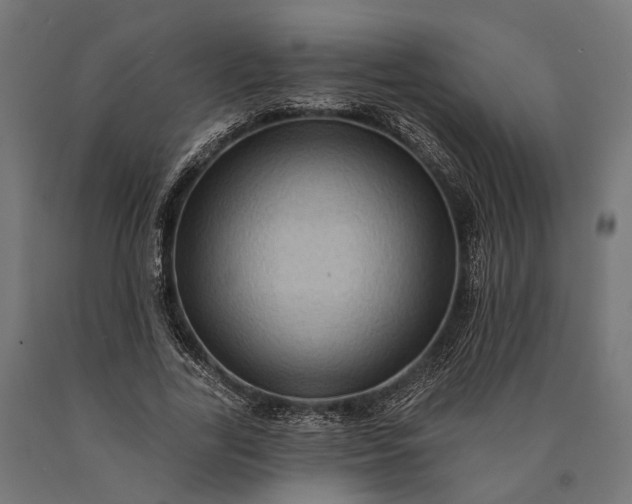 X0000090730731200708031523