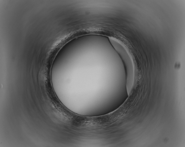 X0000090730732200708031523