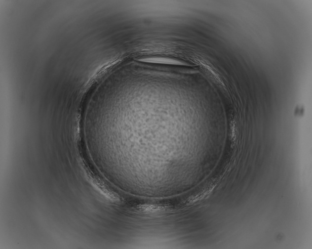 X0000090730733200708031523