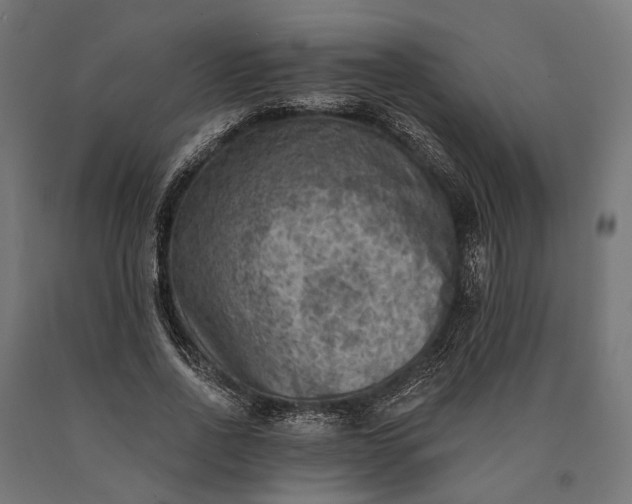 X0000090730734200708031523