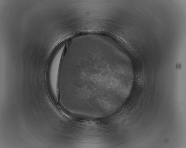 X0000090730735200708031523