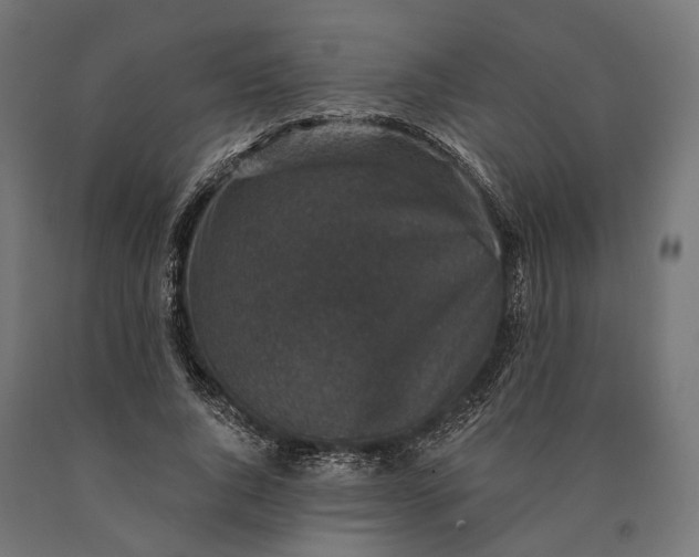 X0000090730736200708031523