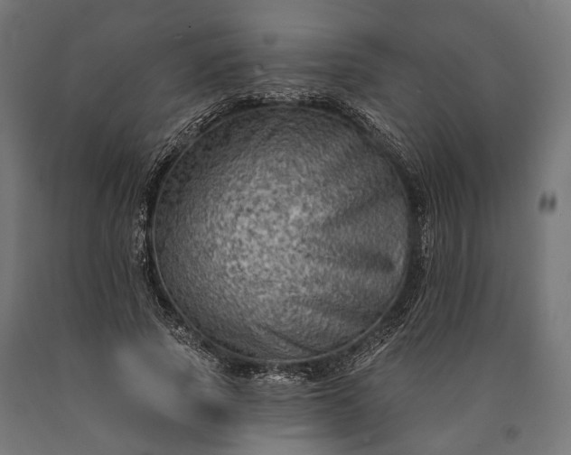 X0000090730737200708031523