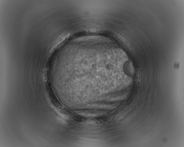 X0000090730738200708031523