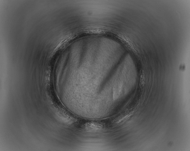 X0000090730739200708031523