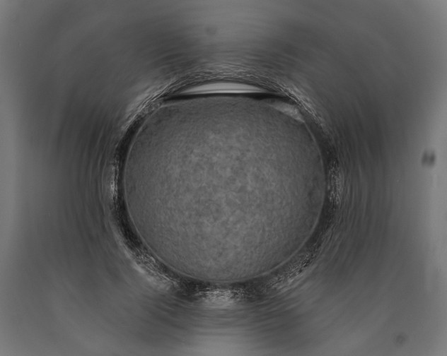 X0000090730740200708031523