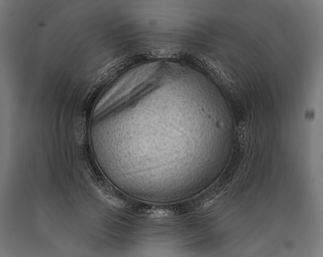 X0000090730741200708031523