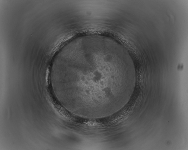 X0000090730742200708031523