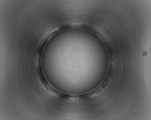 X0000090730744200708031523