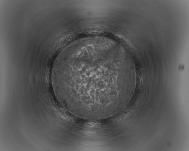 X0000090730745200708031523