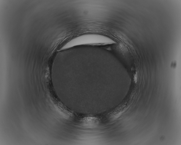 X0000090730748200708031523