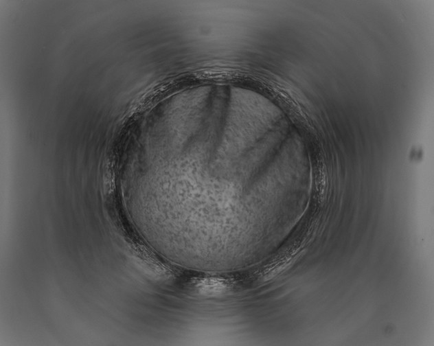 X0000090730751200708031523