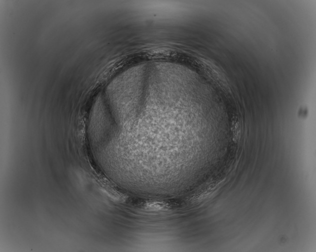 X0000090730753200708031523