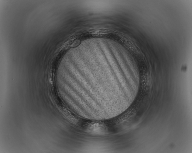 X0000090730755200708031523