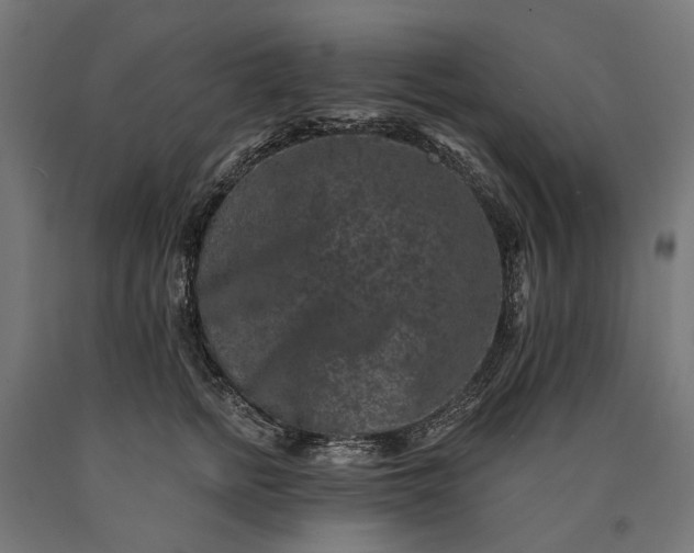 X0000090730758200708031523