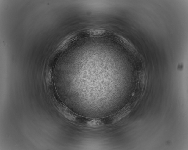 X0000090730761200708031523