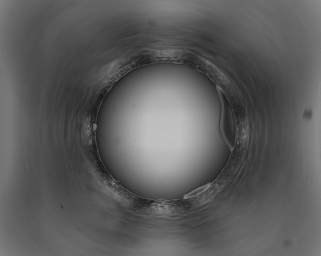 X0000090730764200708031523