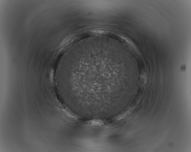 X0000090730765200708031523