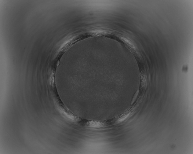 X0000090730766200708031523