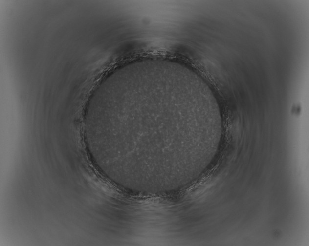 X0000090730769200708031522