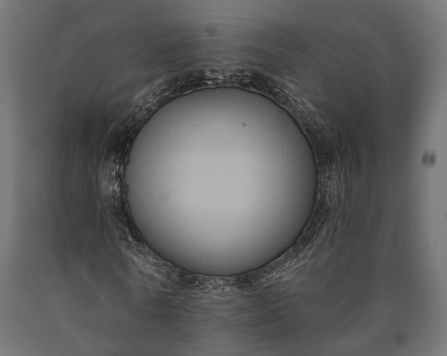 X0000090730770200708031522