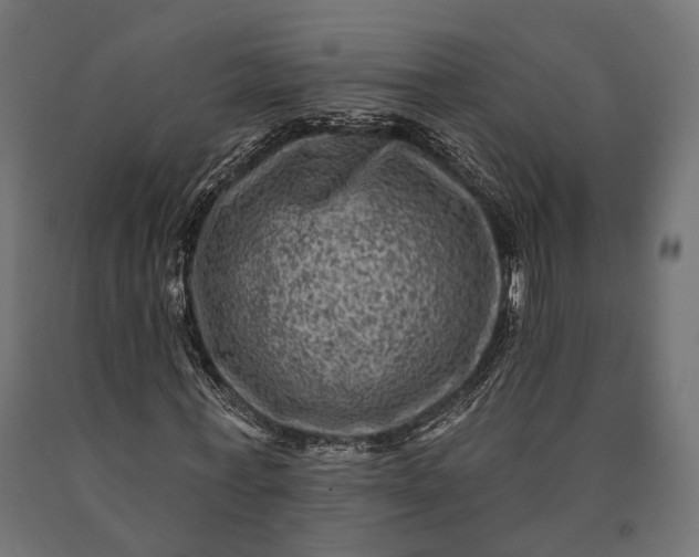 X0000090730771200708031522