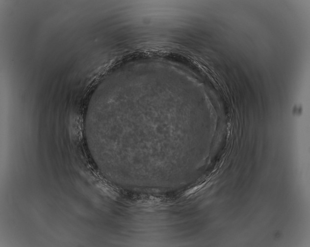 X0000090730772200708031522