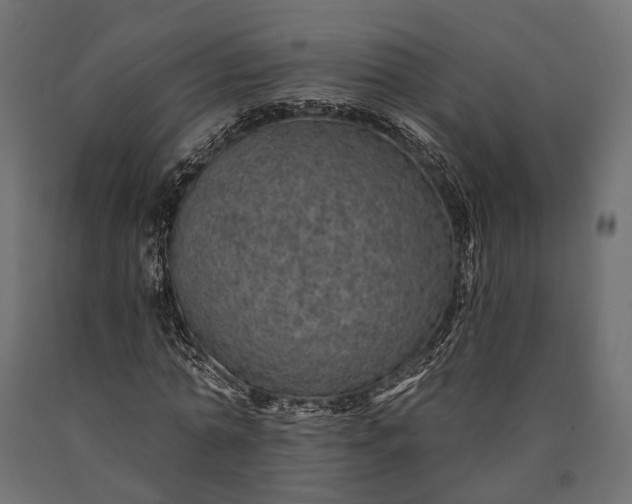 X0000090730774200708031522