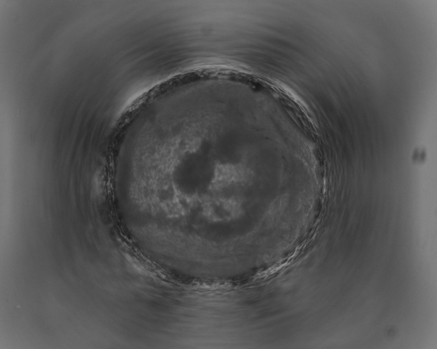 X0000090730775200708031522