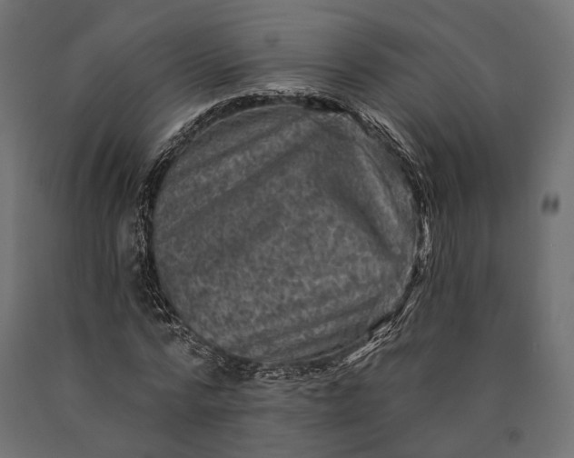 X0000090730776200708031522